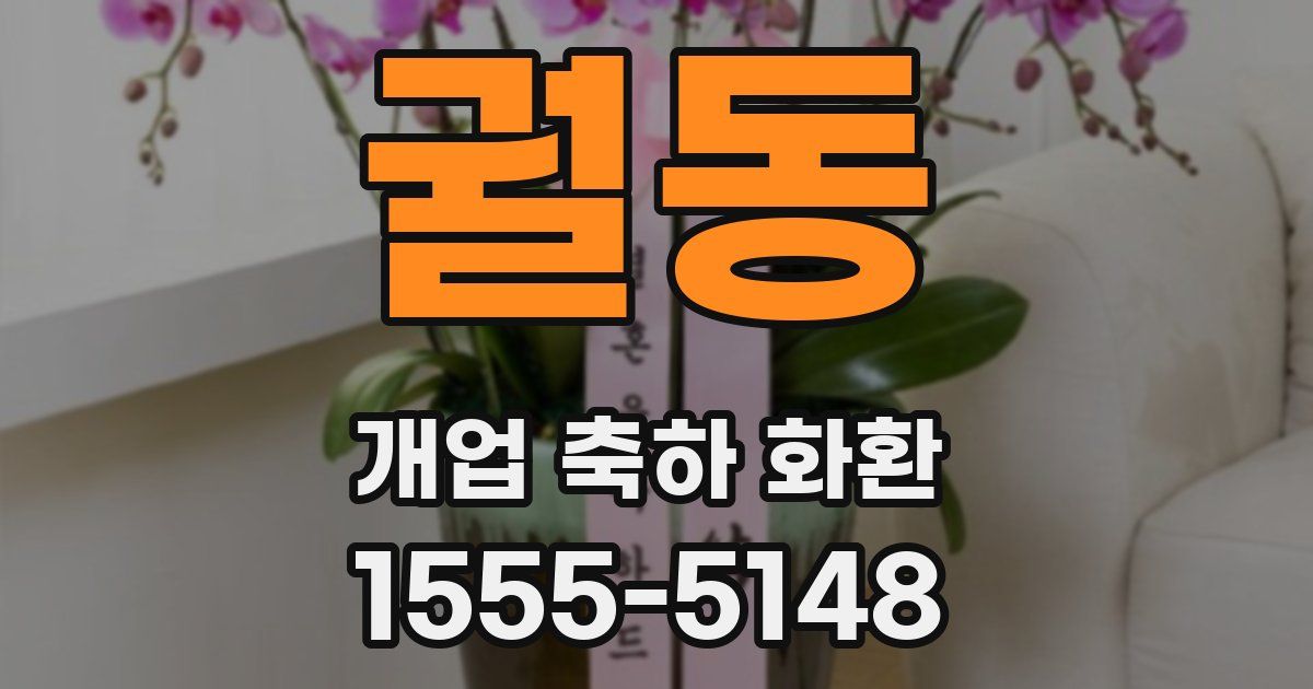 궐동 개업 축하 화환