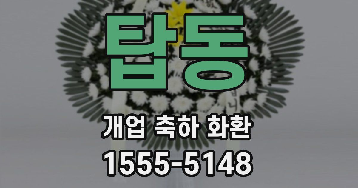 탑동 개업 축하 화환