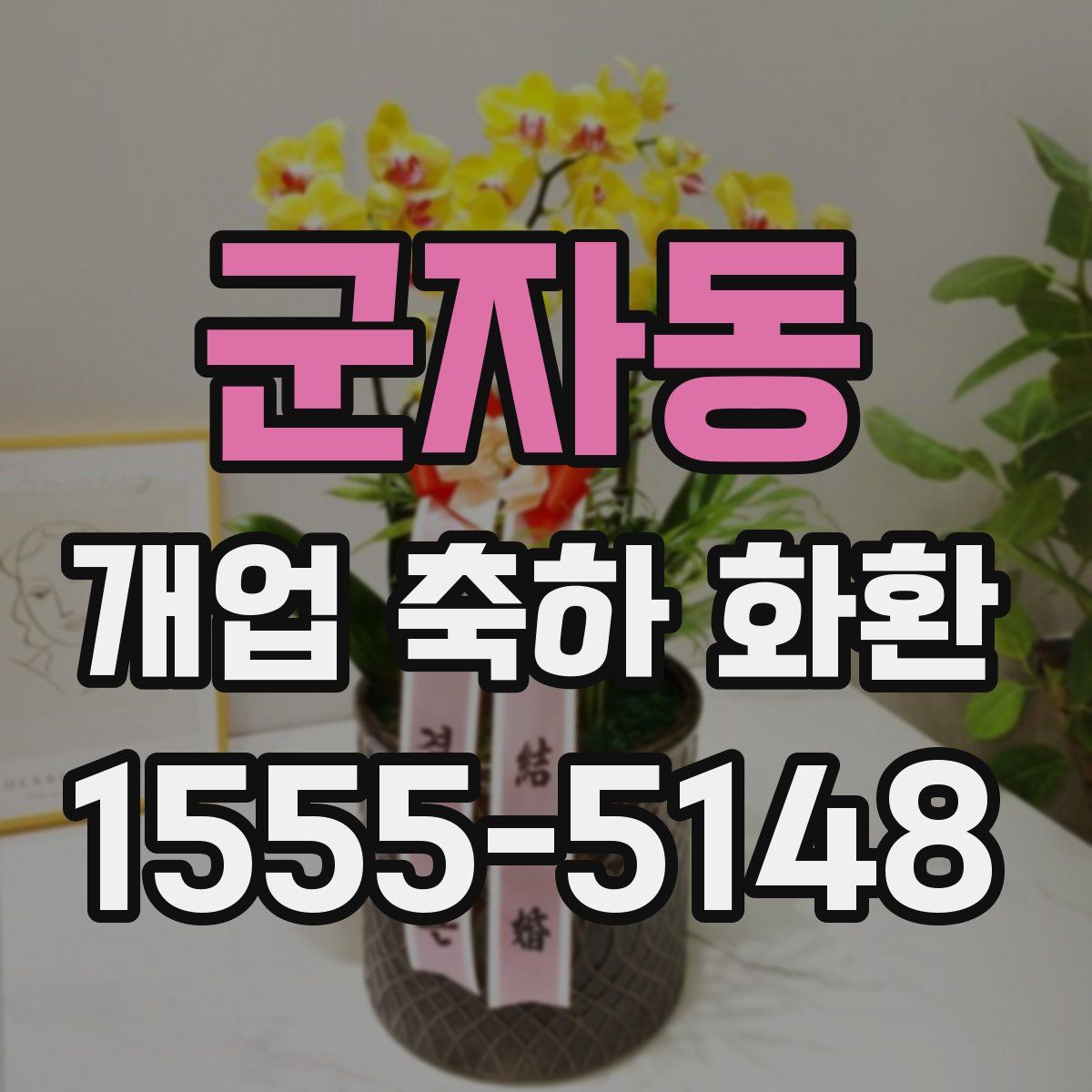 군자동 개업 축하 화환