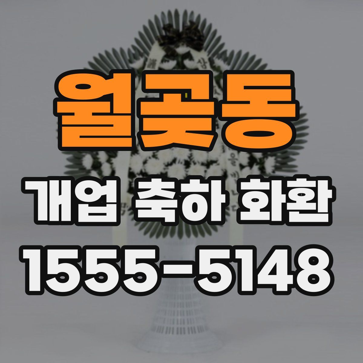 월곶동 개업 축하 화환