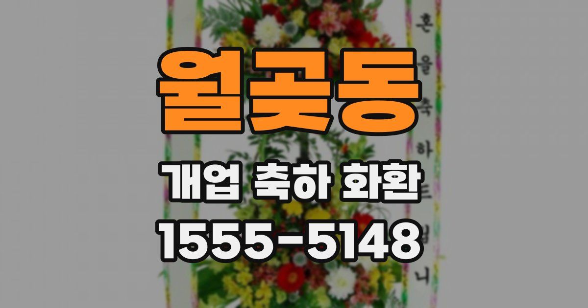 월곶동 개업 축하 화환