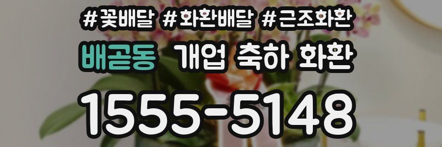 배곧동 개업 축하 화환