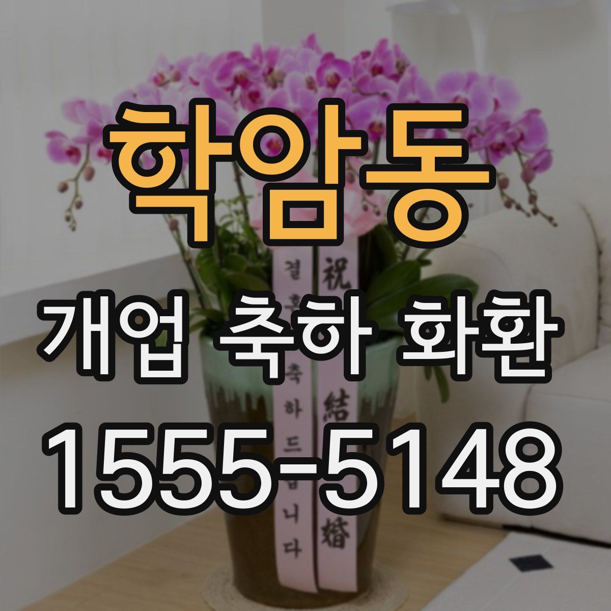 학암동 개업 축하 화환