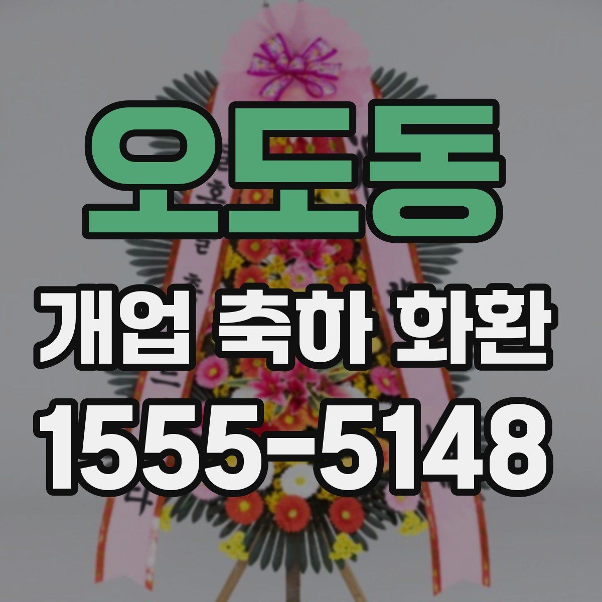 오도동 개업 축하 화환 시즌별 인기 스타일