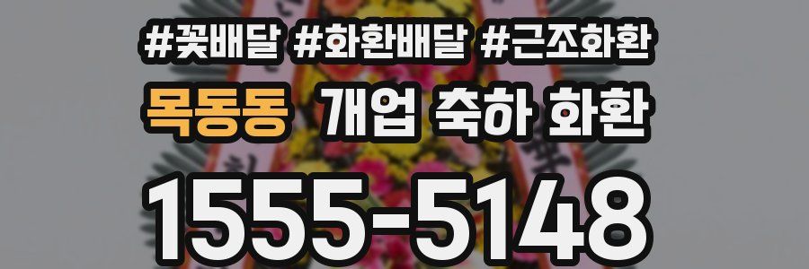 목동동 개업 축하 화환