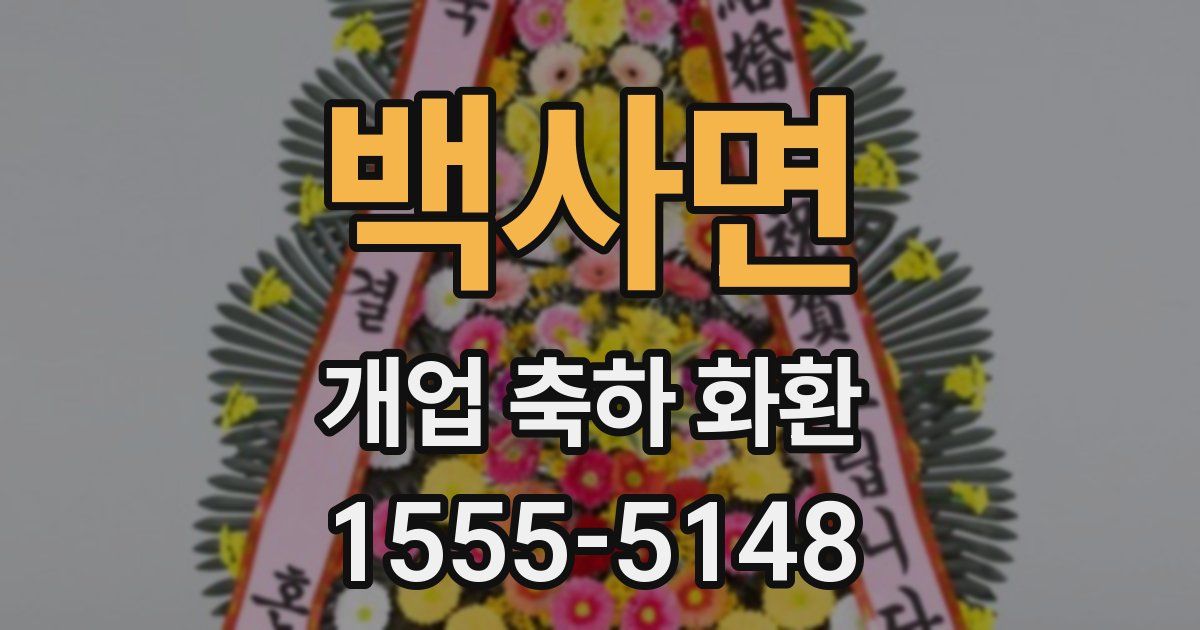 백사면 개업 축하 화환