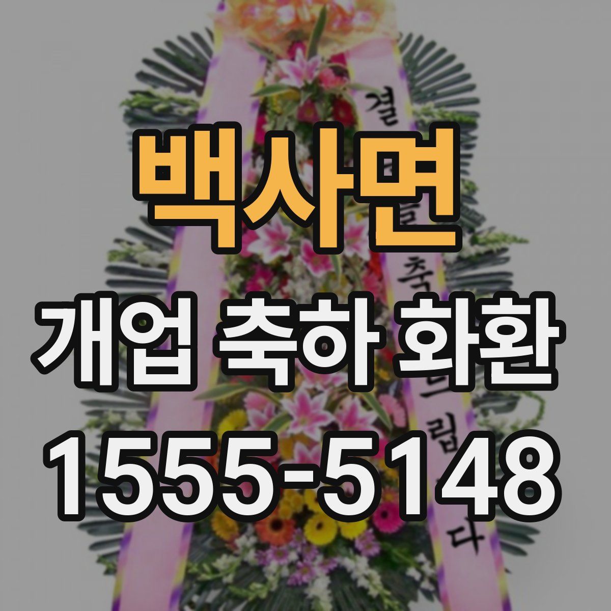 백사면 개업 축하 화환