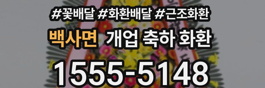 백사면 개업 축하 화환
