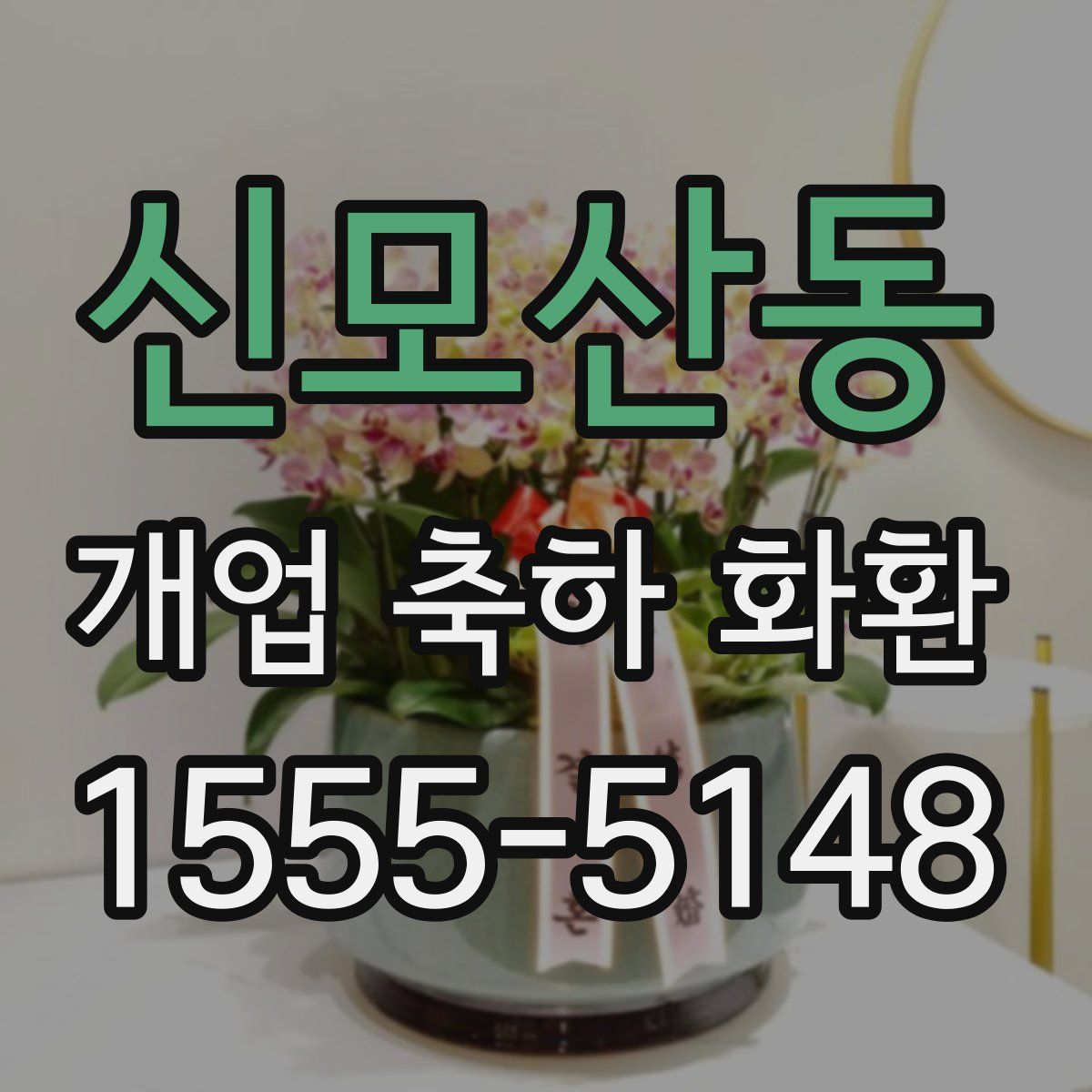 신모산동 개업 축하 화환