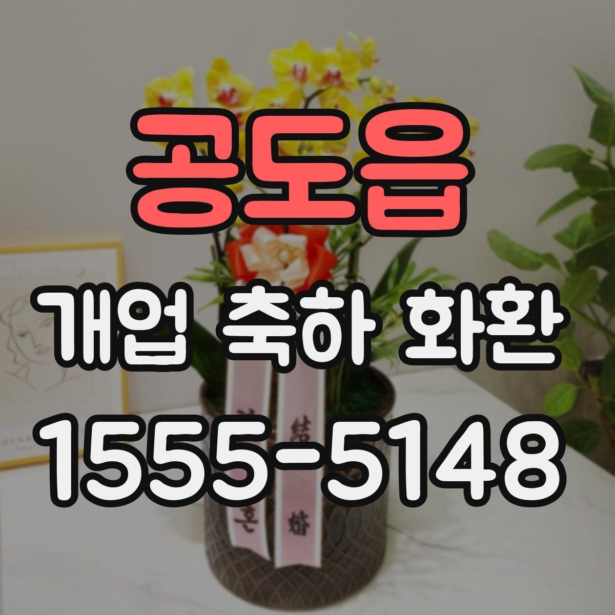 공도읍 개업 축하 화환 문구에 감사 표현 더하기