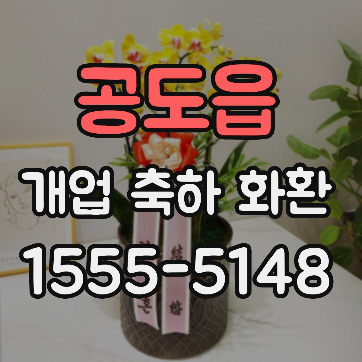공도읍 개업 축하 화환
