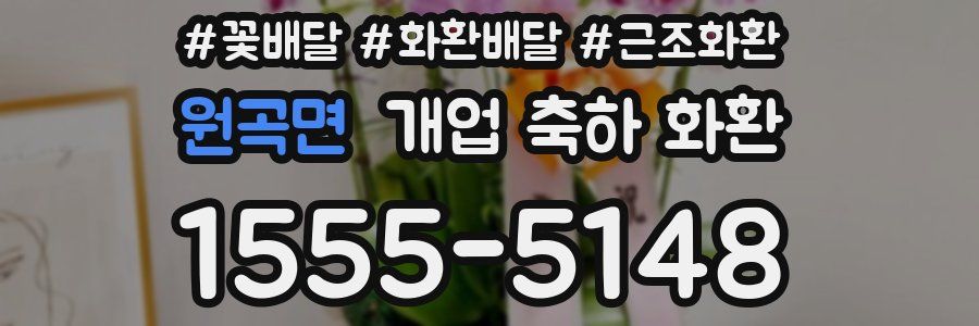 원곡면 개업 축하 화환