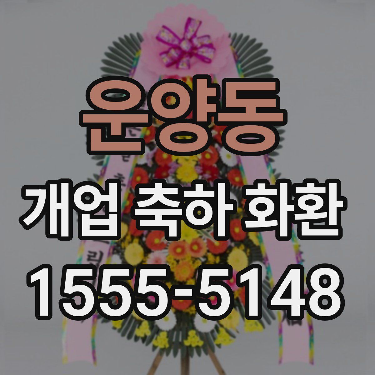 운양동 개업 축하 화환