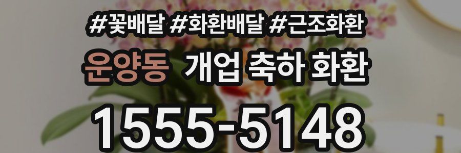 운양동 개업 축하 화환