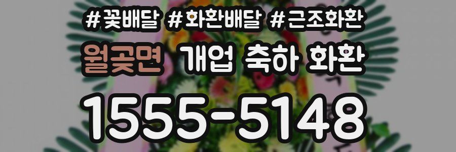 월곶면 개업 축하 화환