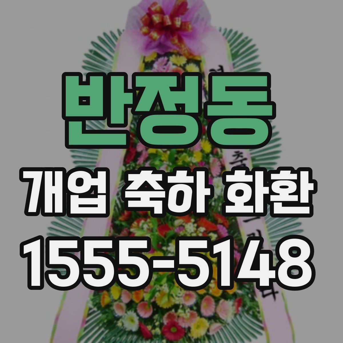 반정동 개업 축하 화환 꽃 종류별 인상 차이