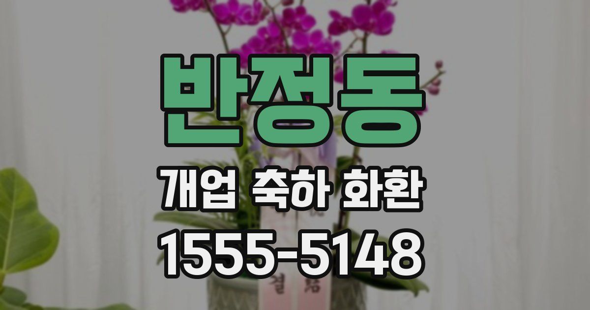 반정동 개업 축하 화환