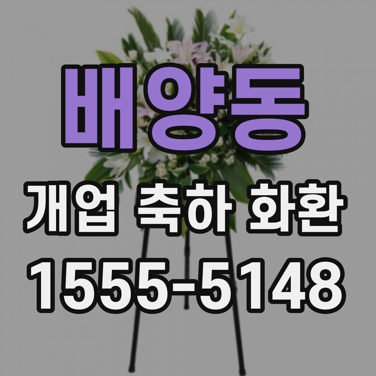 배양동 개업 축하 화환 설치 공간에 맞추는 법