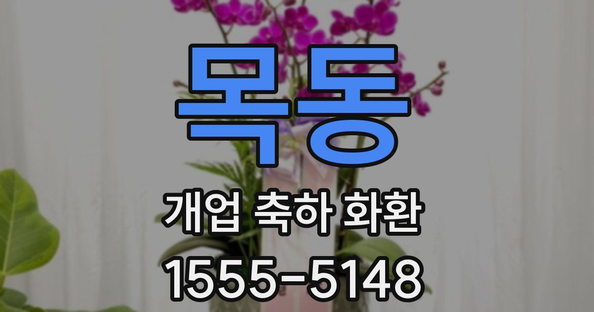 목동 개업 축하 화환