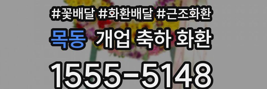 목동 개업 축하 화환