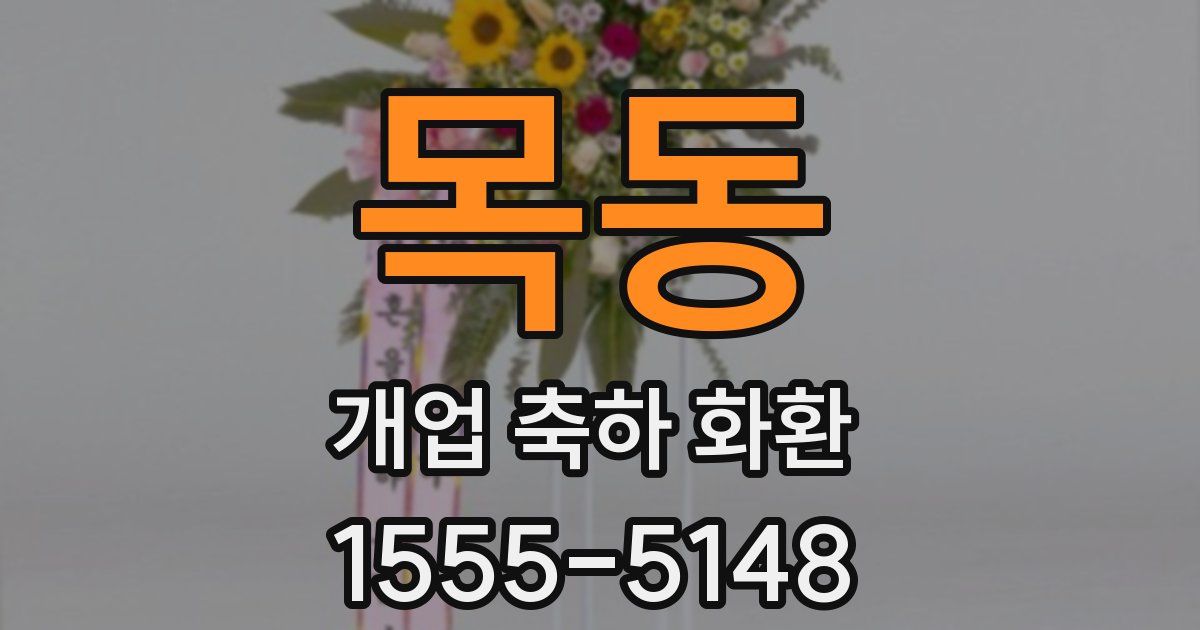 목동 개업 축하 화환