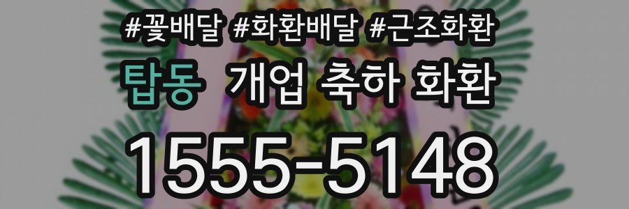 탑동 개업 축하 화환
