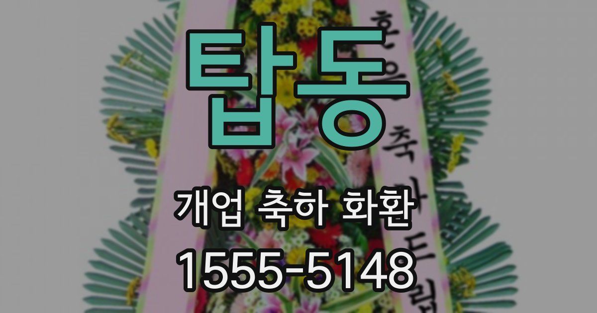 탑동 개업 축하 화환