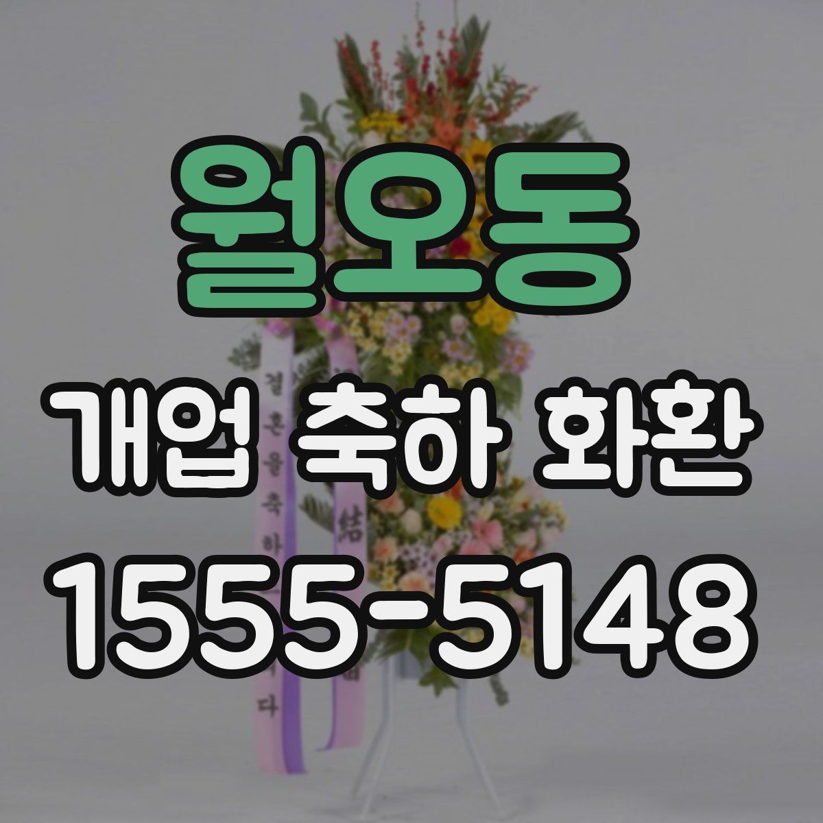 월오동 개업 축하 화환