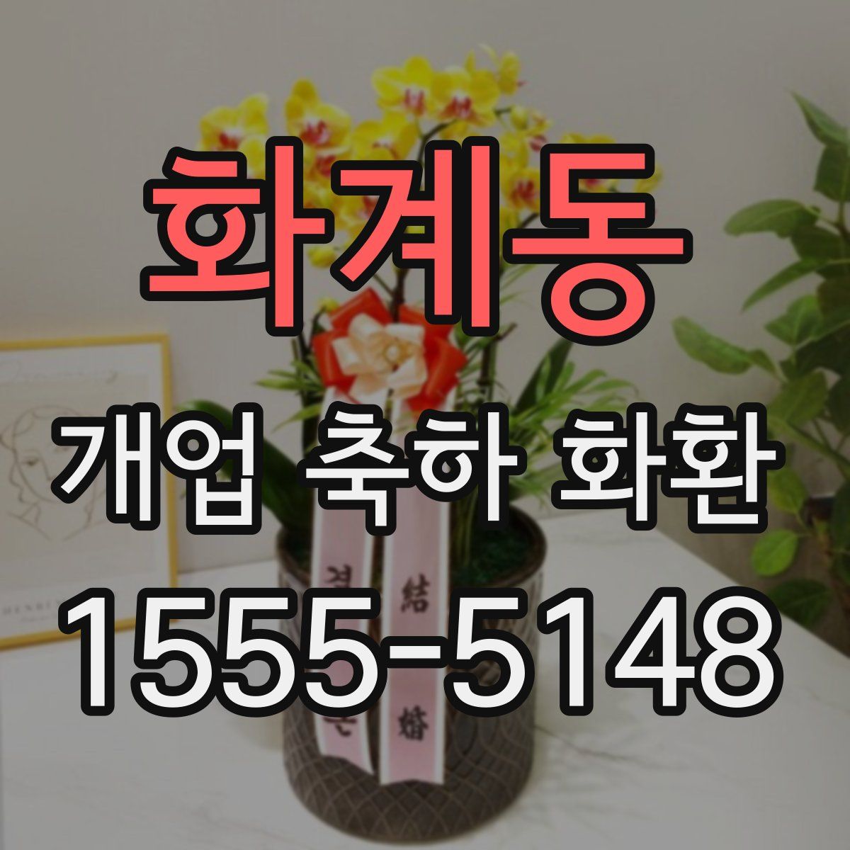 화계동 개업 축하 화환