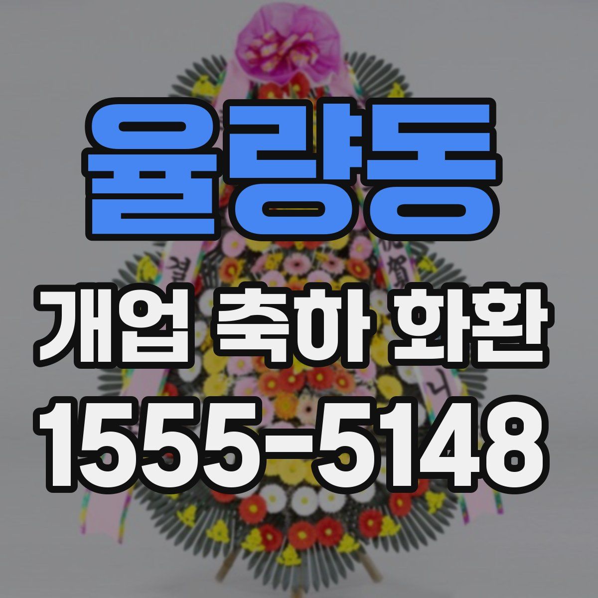 율량동 개업 축하 화환