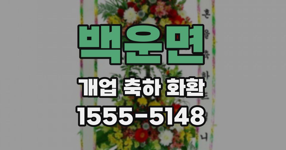 백운면 개업 축하 화환