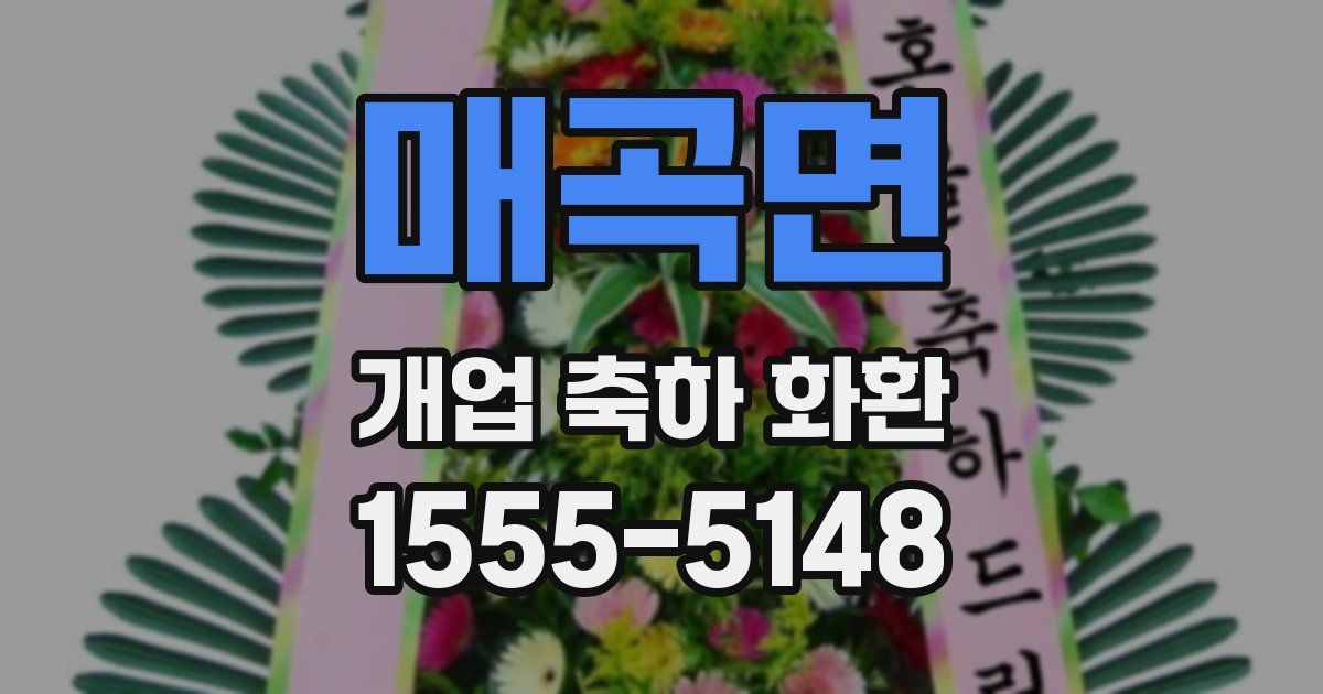 매곡면 개업 축하 화환