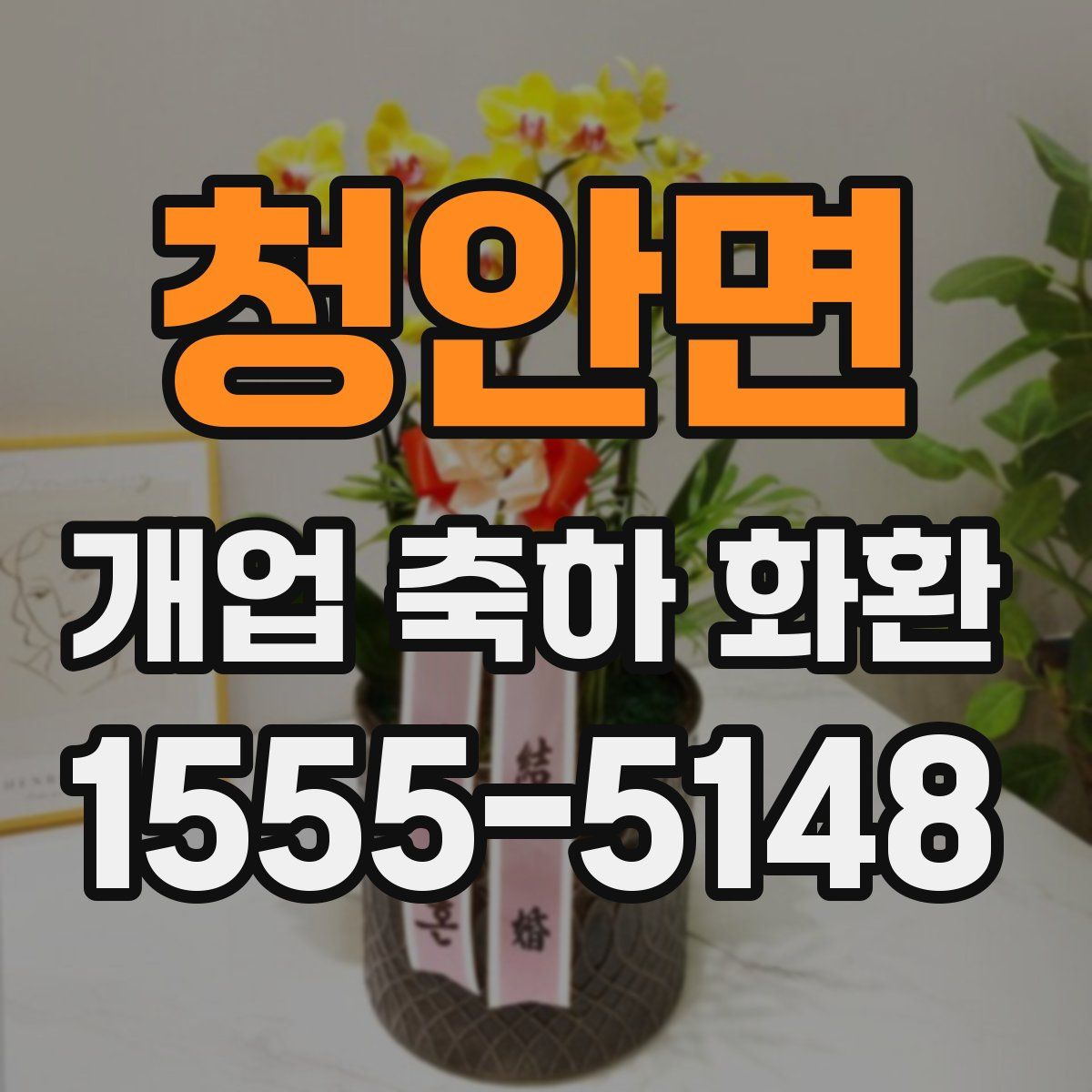 청안면 개업 축하 화환