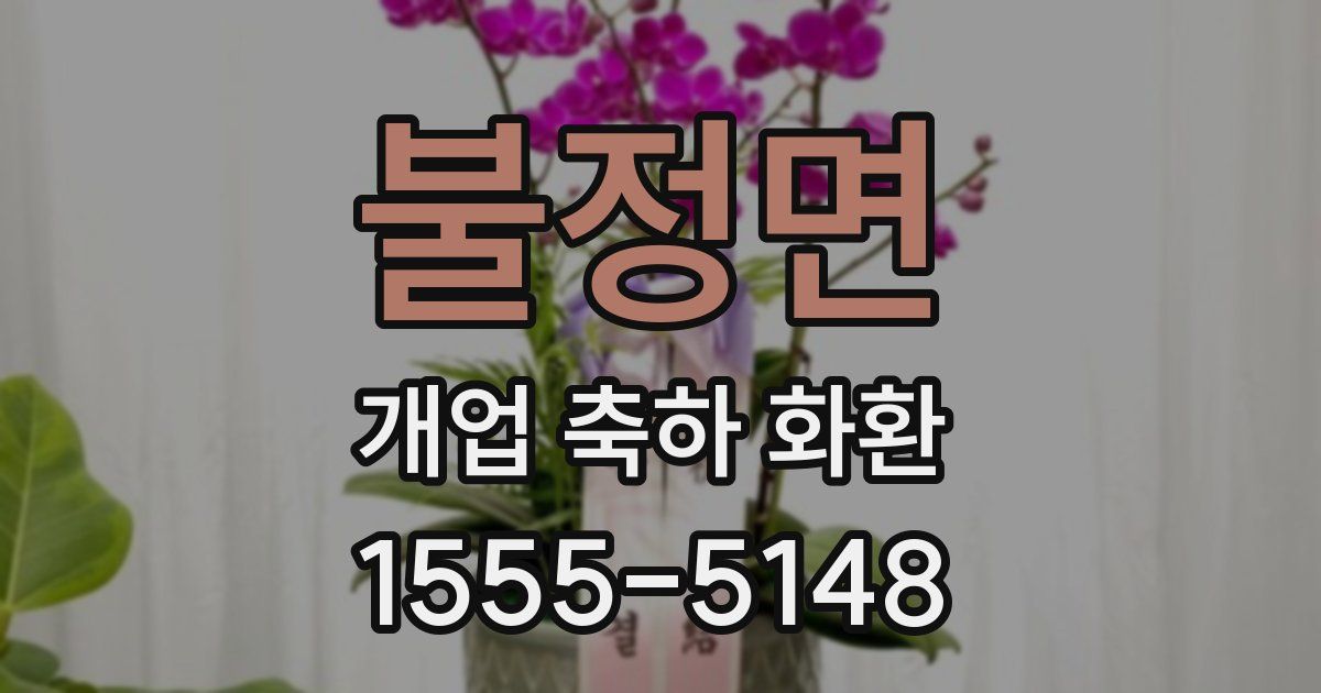 불정면 개업 축하 화환