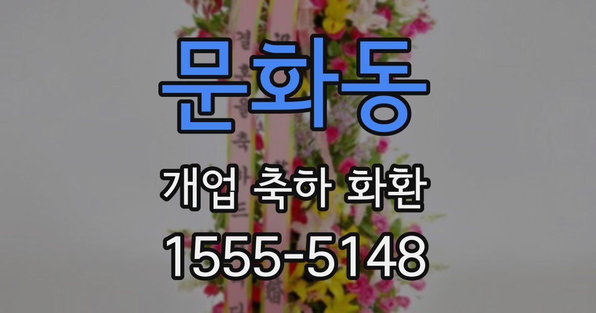 문화동 개업 축하 화환