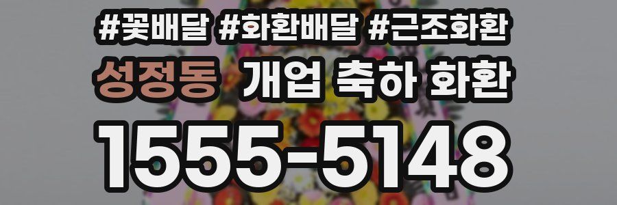 성정동 개업 축하 화환
