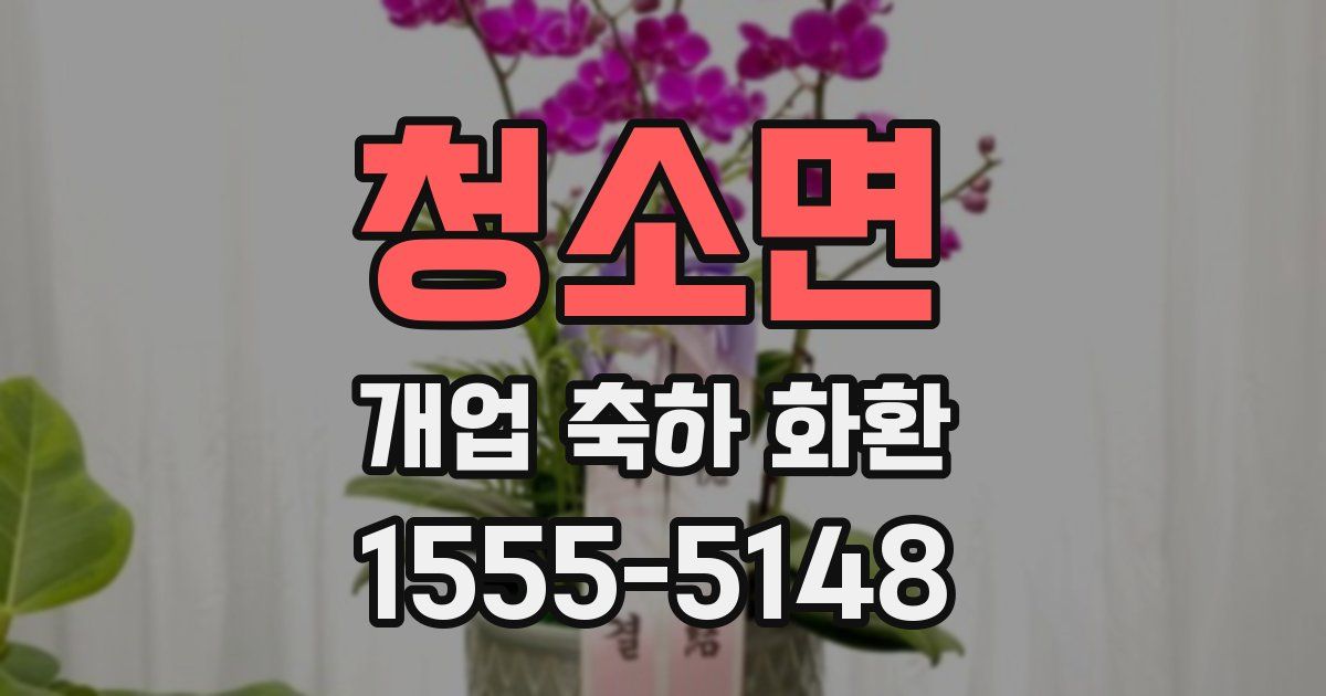 청소면 개업 축하 화환
