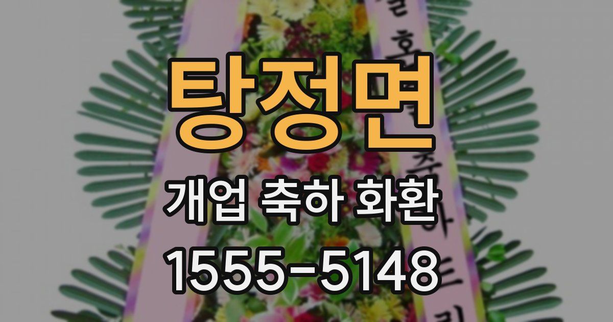 탕정면 개업 축하 화환