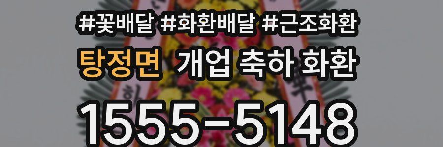 탕정면 개업 축하 화환
