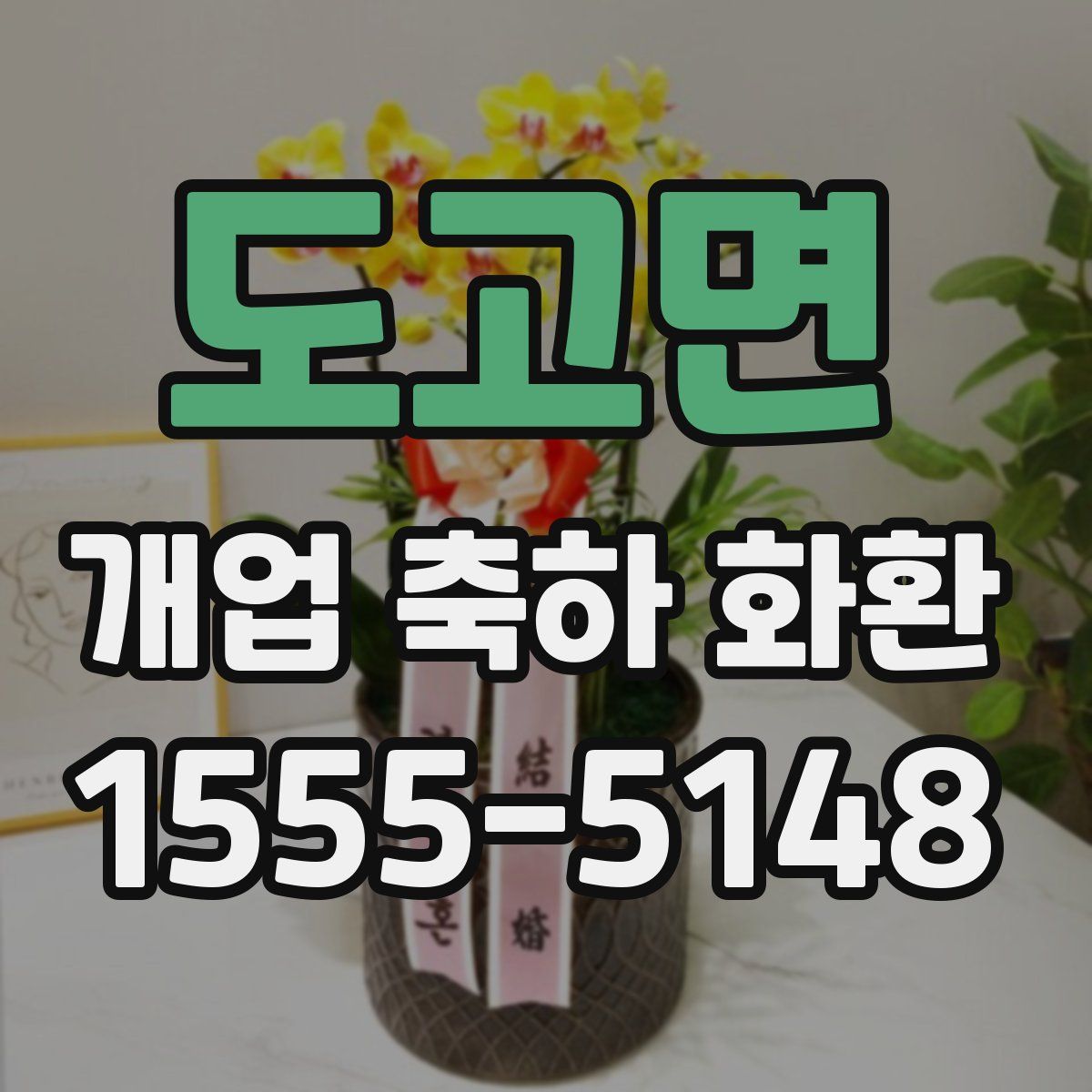 도고면 개업 축하 화환