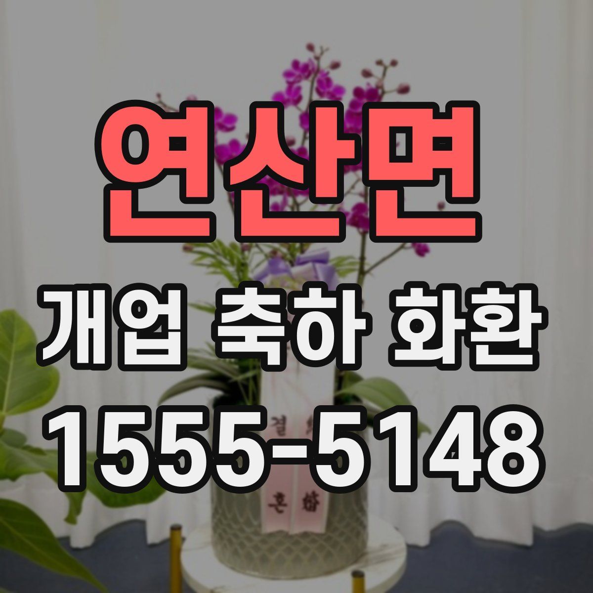 연산면 개업 축하 화환