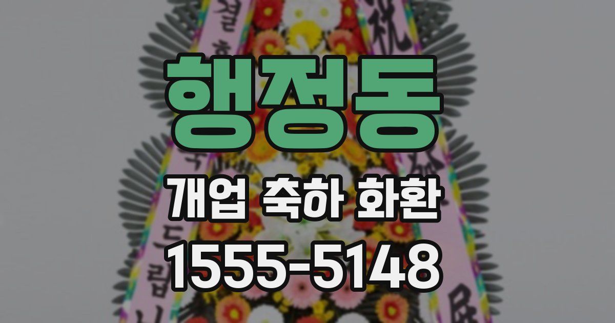 행정동 개업 축하 화환