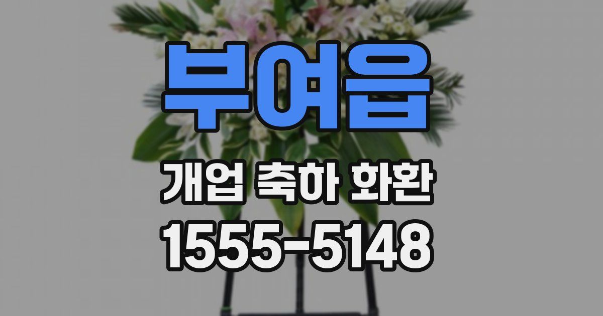부여읍 개업 축하 화환