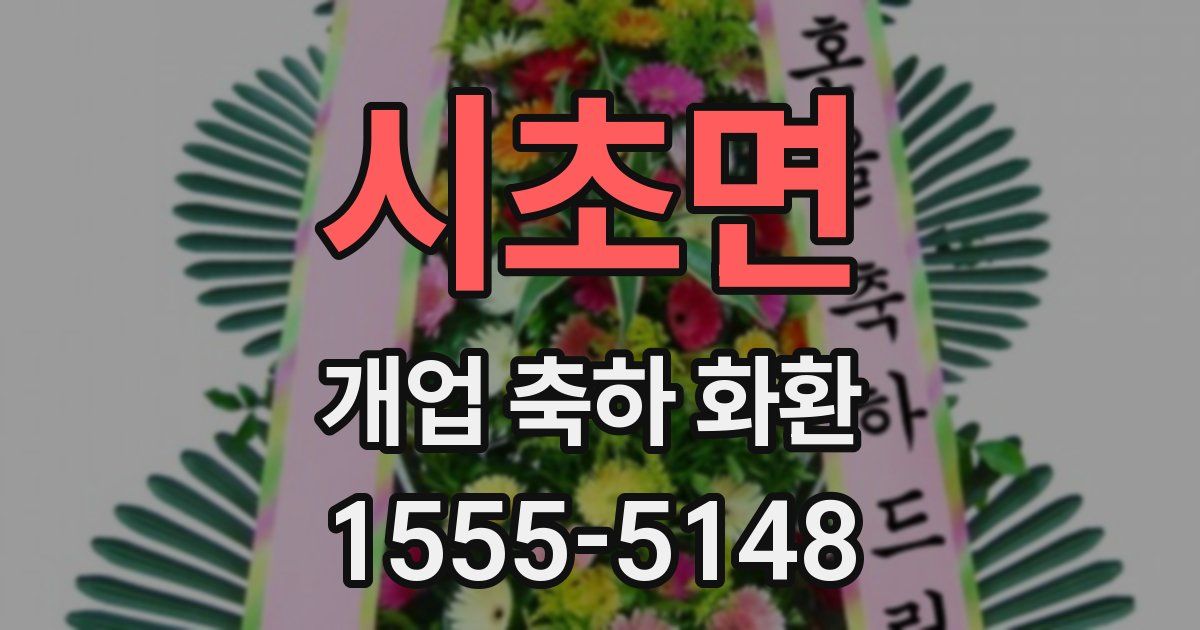시초면 개업 축하 화환