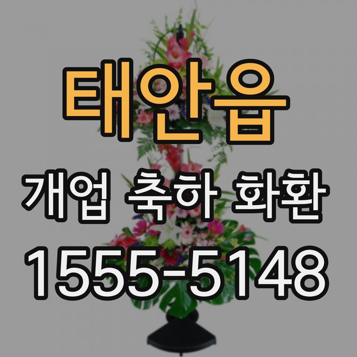 태안읍 개업 축하 화환