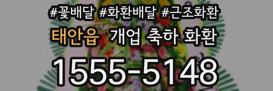 태안읍 개업 축하 화환