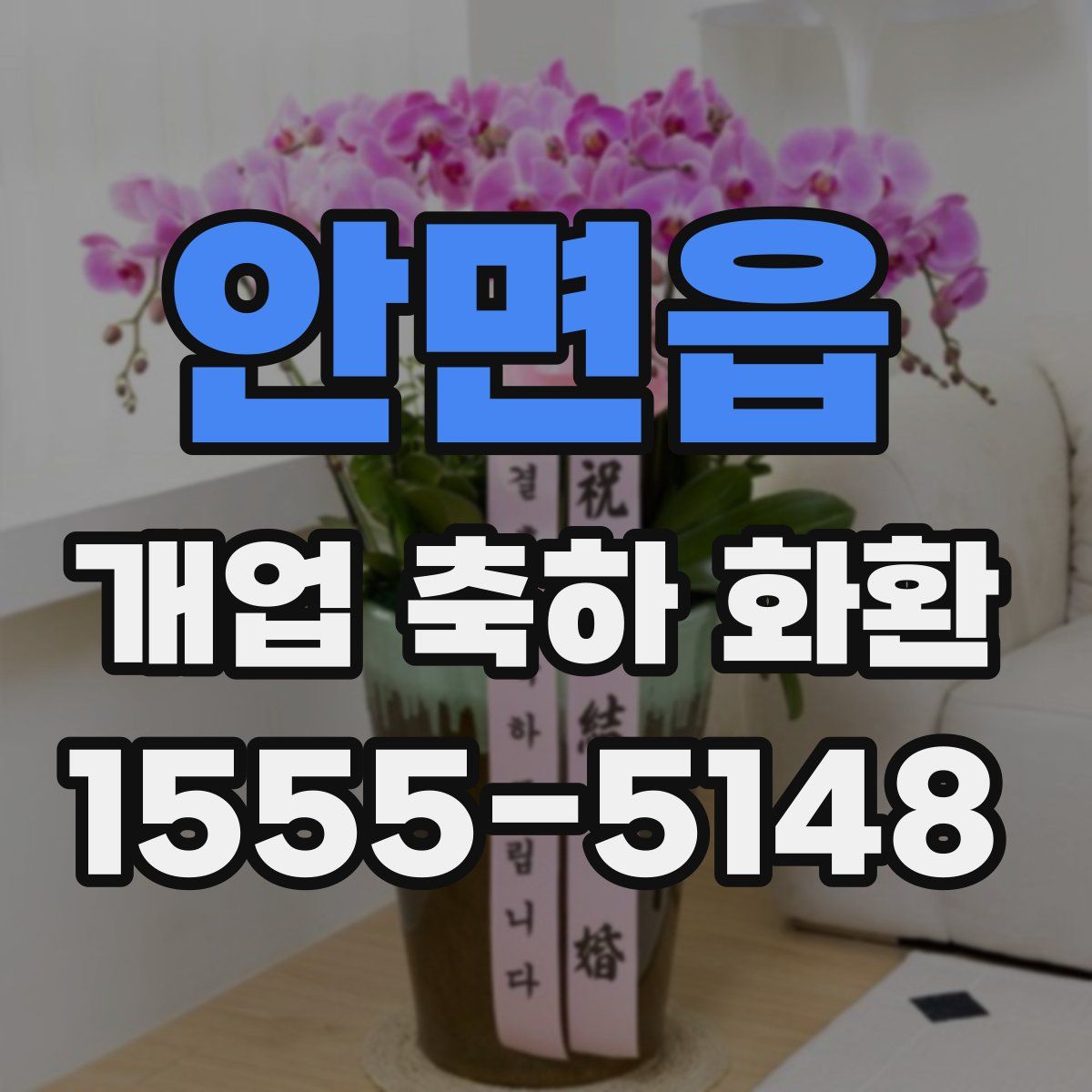 안면읍 개업 축하 화환