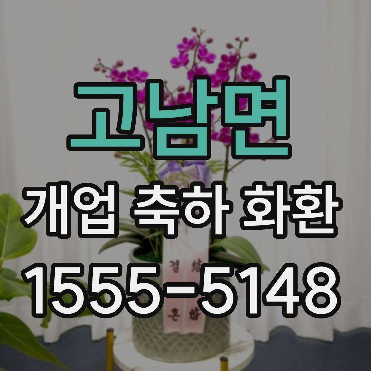 고남면 개업 축하 화환 고급스럽게 보이는 구성