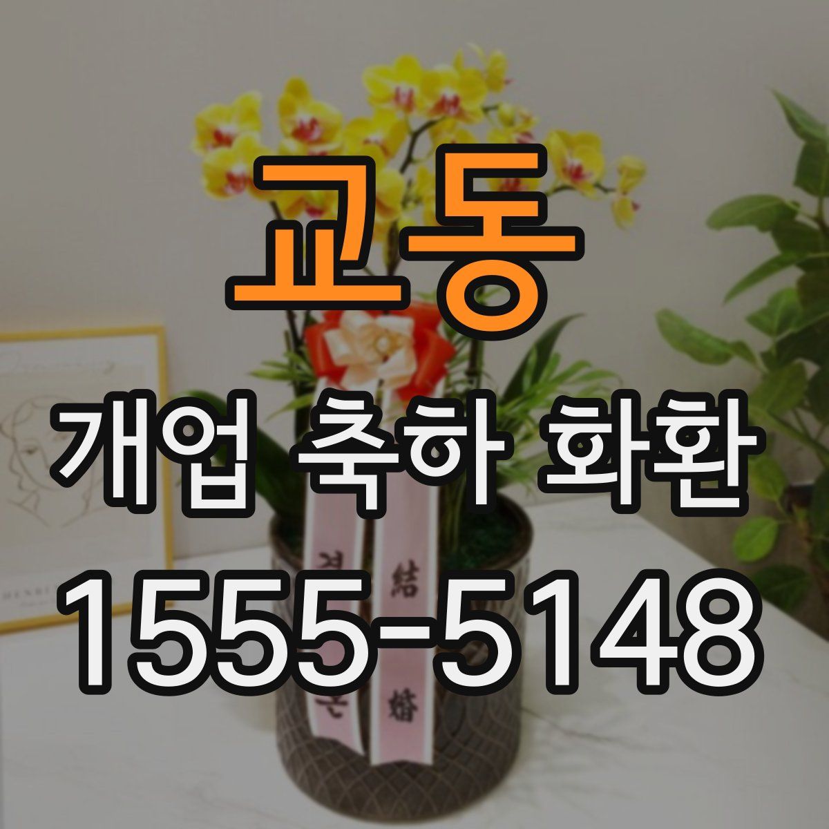 교동 개업 축하 화환