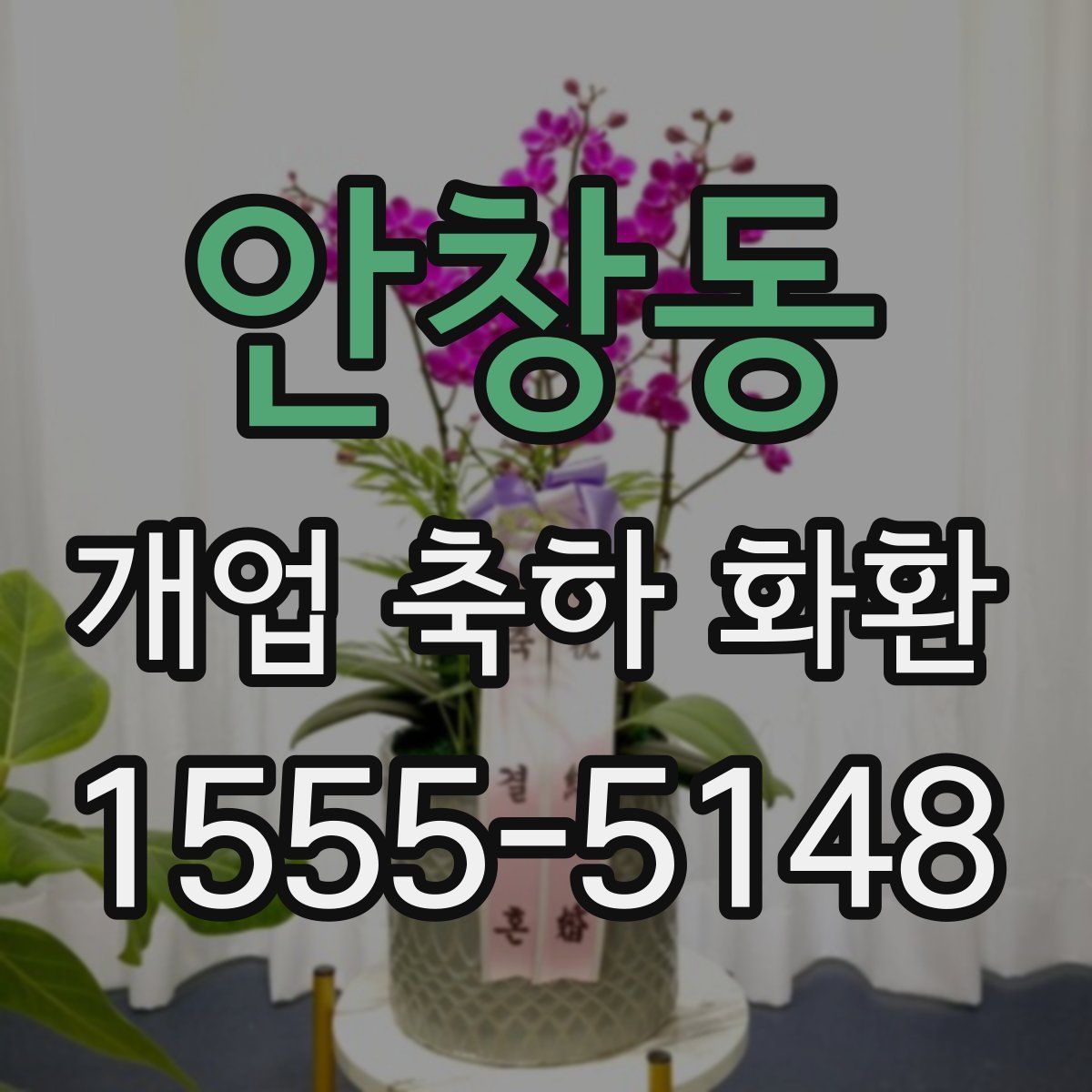 안창동 개업 축하 화환